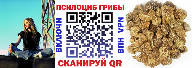 Псилоцибиновые грибы мухоморы  Нижний Ломов 